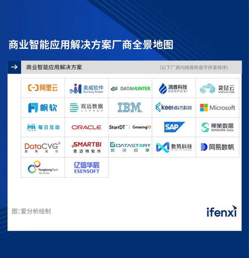 2023爱分析 商业智能应用解决方案市场厂商评估报告 数聚股份